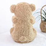 O Brinquedo® - Peek-a-Bear™ - Ursinho de Esconde-esconde